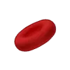 Graphic of red blood cell